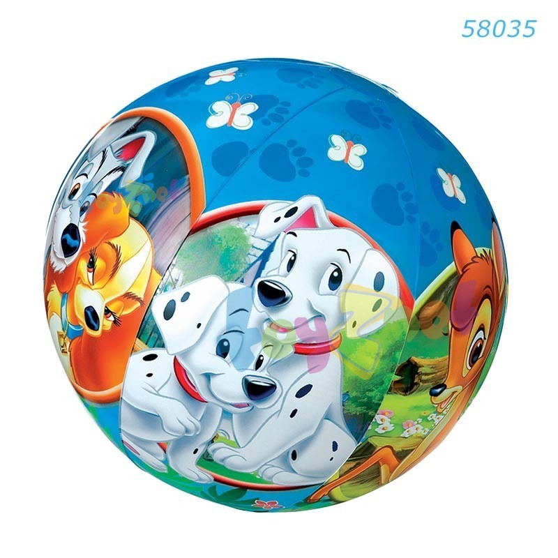 Strandlabda WD 88781  61cm