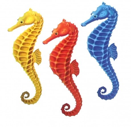 Víz alatti matrica, Csikóhal csoport