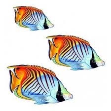 Vízalatti matrica, Pirosuszonyos  Pillangóhal csoport