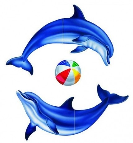 Vízalatti matrica, Delfin csoport nagy