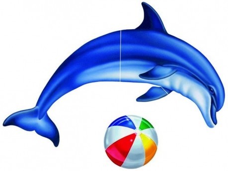 Vízalatti matrica, Delfin labdával kicsi