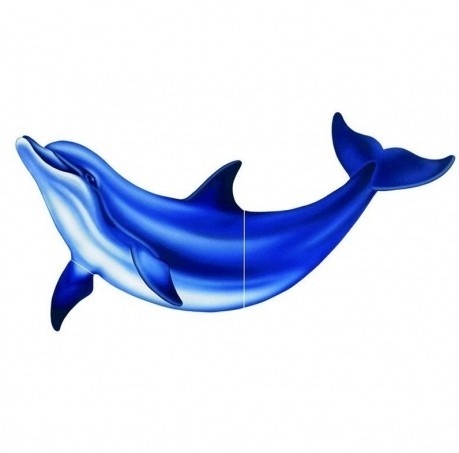 Vízalatti matrica, Delfin kicsi