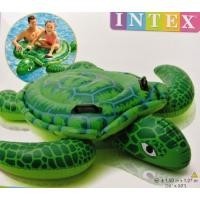 Teknős lovagló, 150x127 cm, Intex